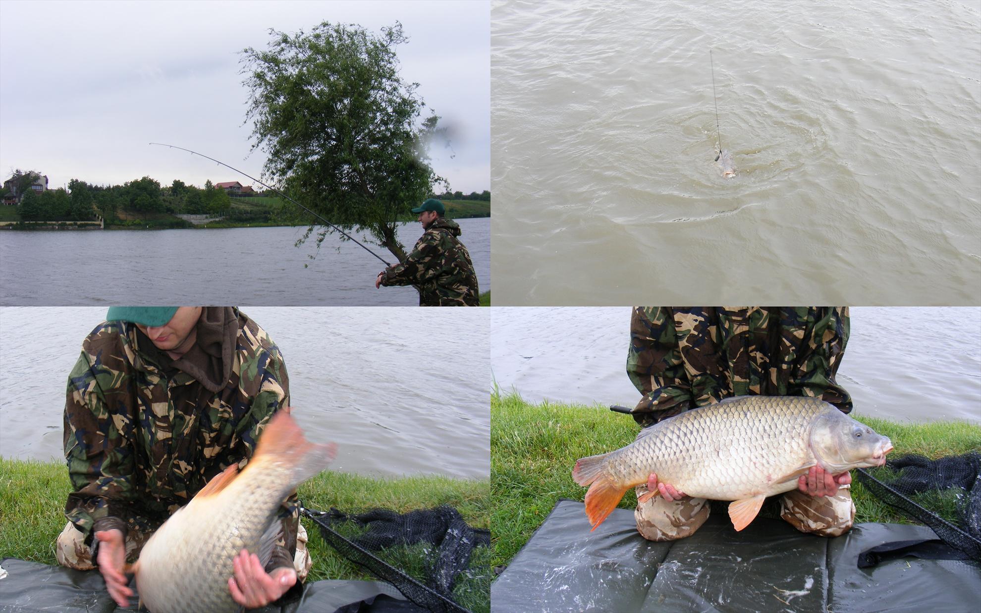 Moara Vlasiei-Dream place! - new-folder.jpg